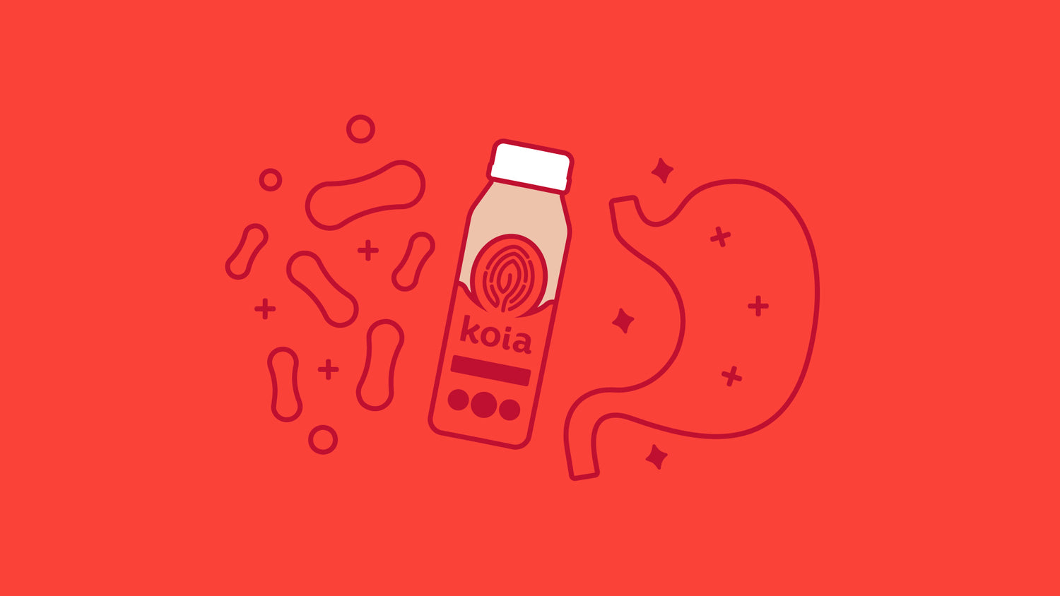 Fuel your Gut: Get to know prebiotic fiber and the benefits!