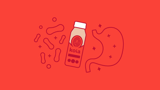 Fuel your Gut: Get to know prebiotic fiber and the benefits!