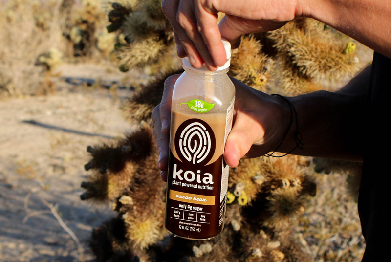 10 Easy Ways to Add Movement to Your Day | Koia – Drink Koia Online