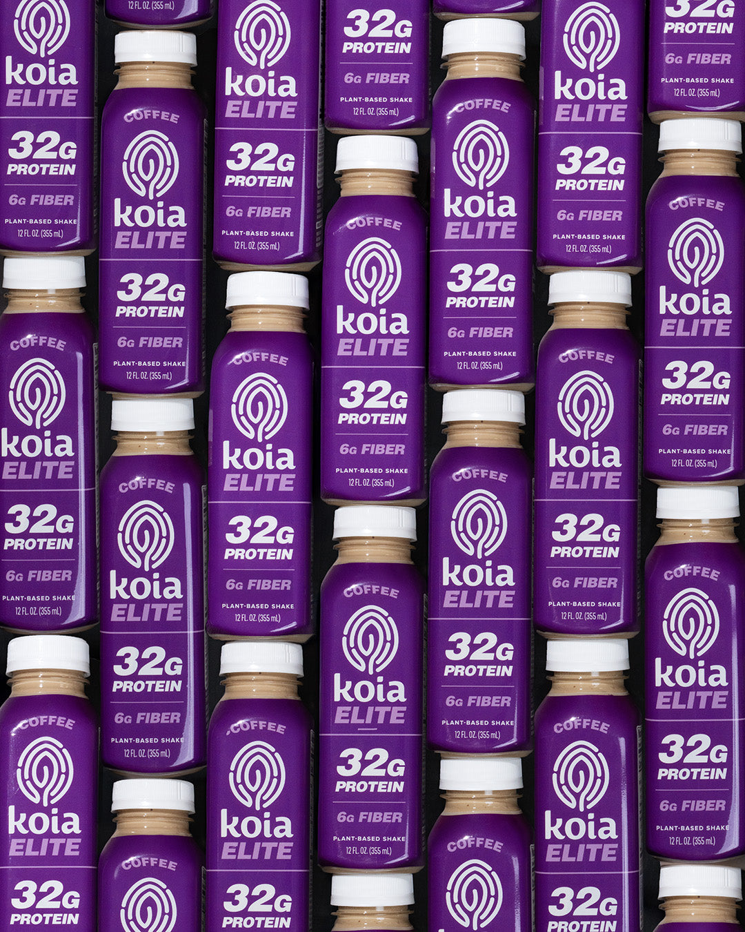 Cacao Bean Protein Shakes | Plant-Based Drinks | Koia – Drink Koia