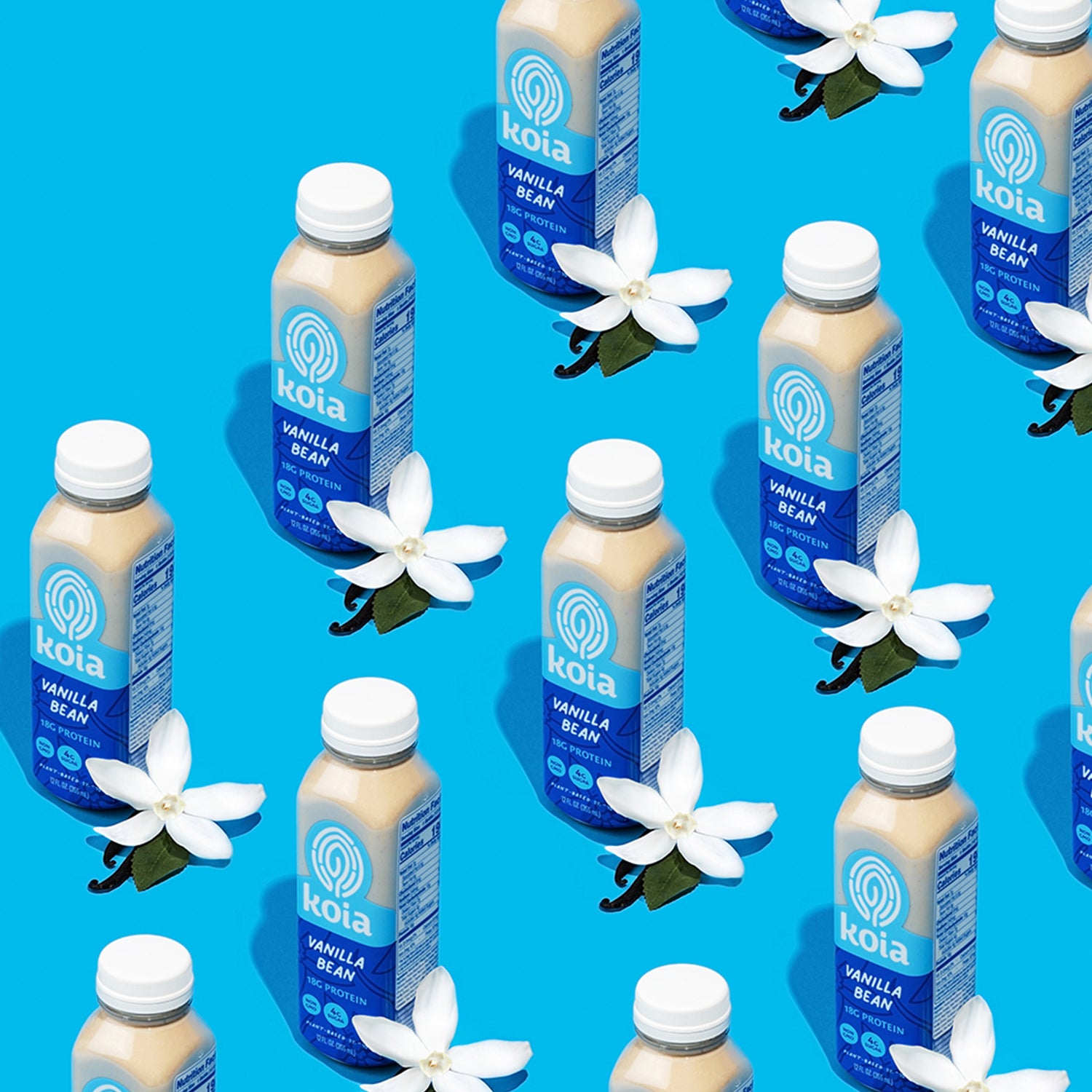 Vanilla Bean Protein Shakes PlantBased Protein Drinks Koia Drink